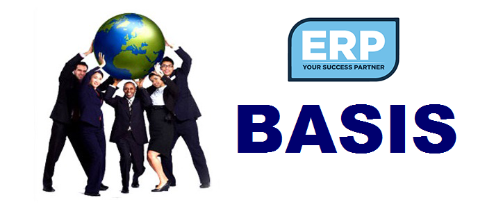 Best SAP Basis training institute in Delhi